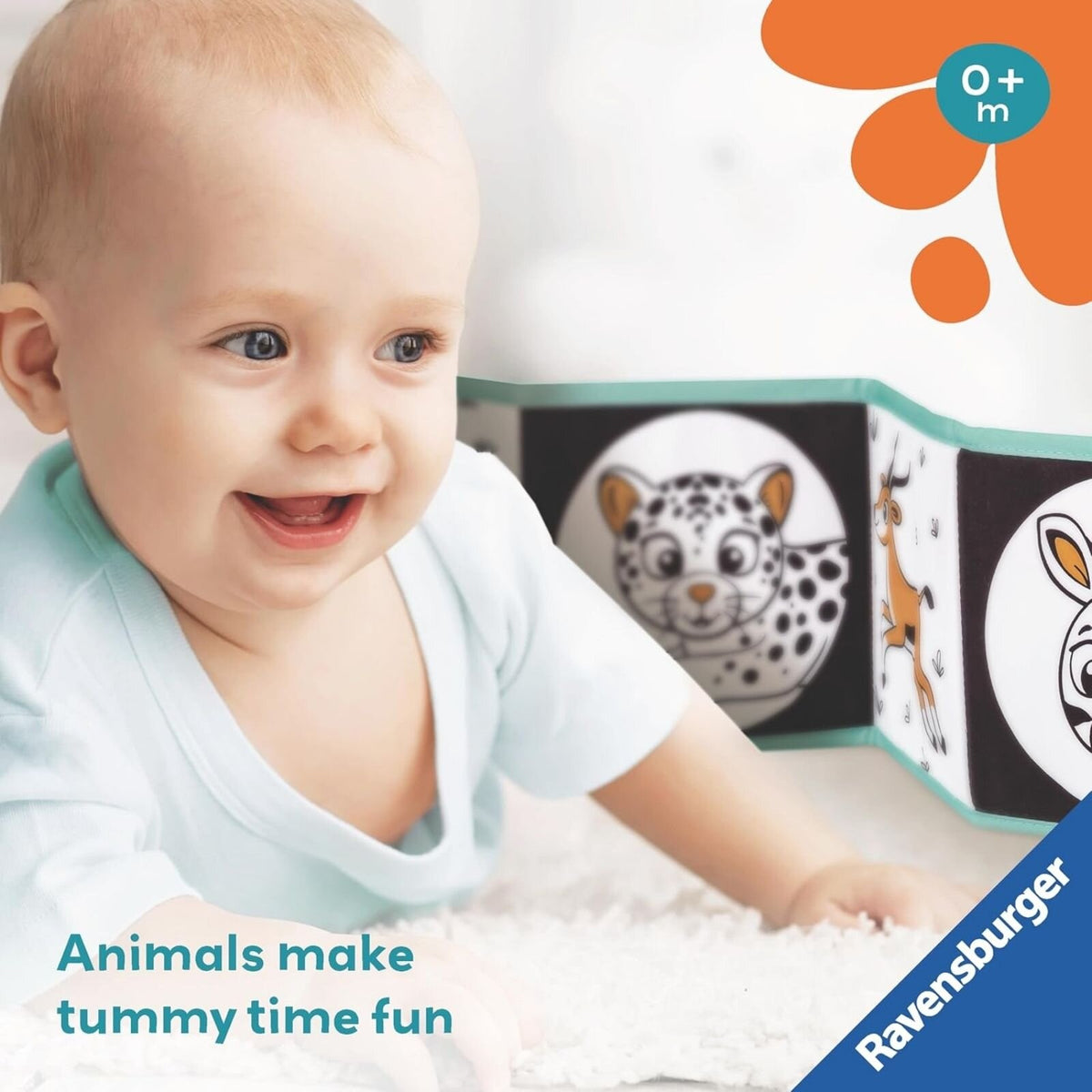 Greenwich Play Area Service – 1 hour fee