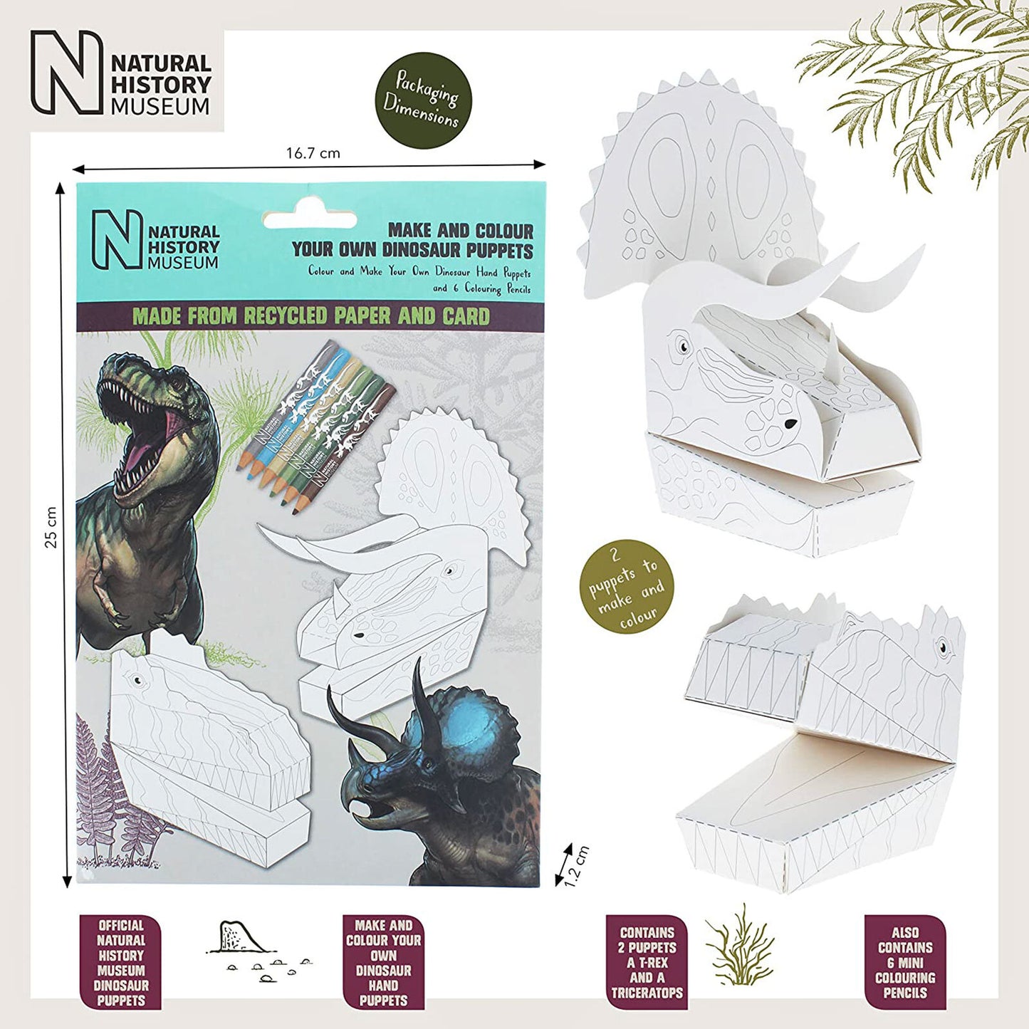 National History Museum Make & Colour Your Own Dinosaur