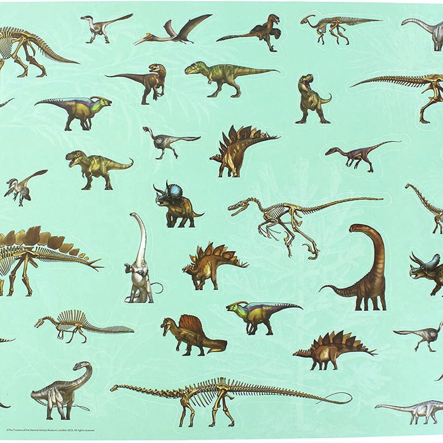 National History Museum Colouring Pad