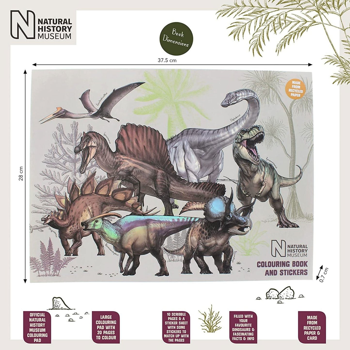 National History Museum Colouring Pad