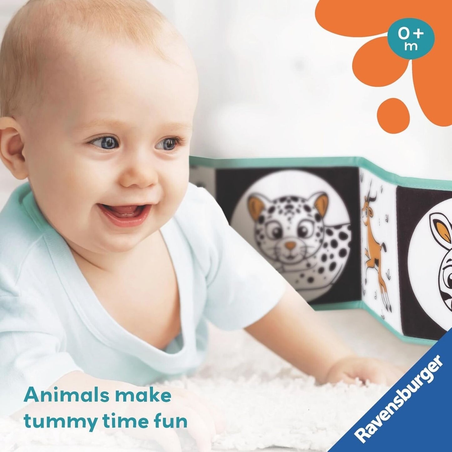 Greenwich Play Area Service – 1 hour fee