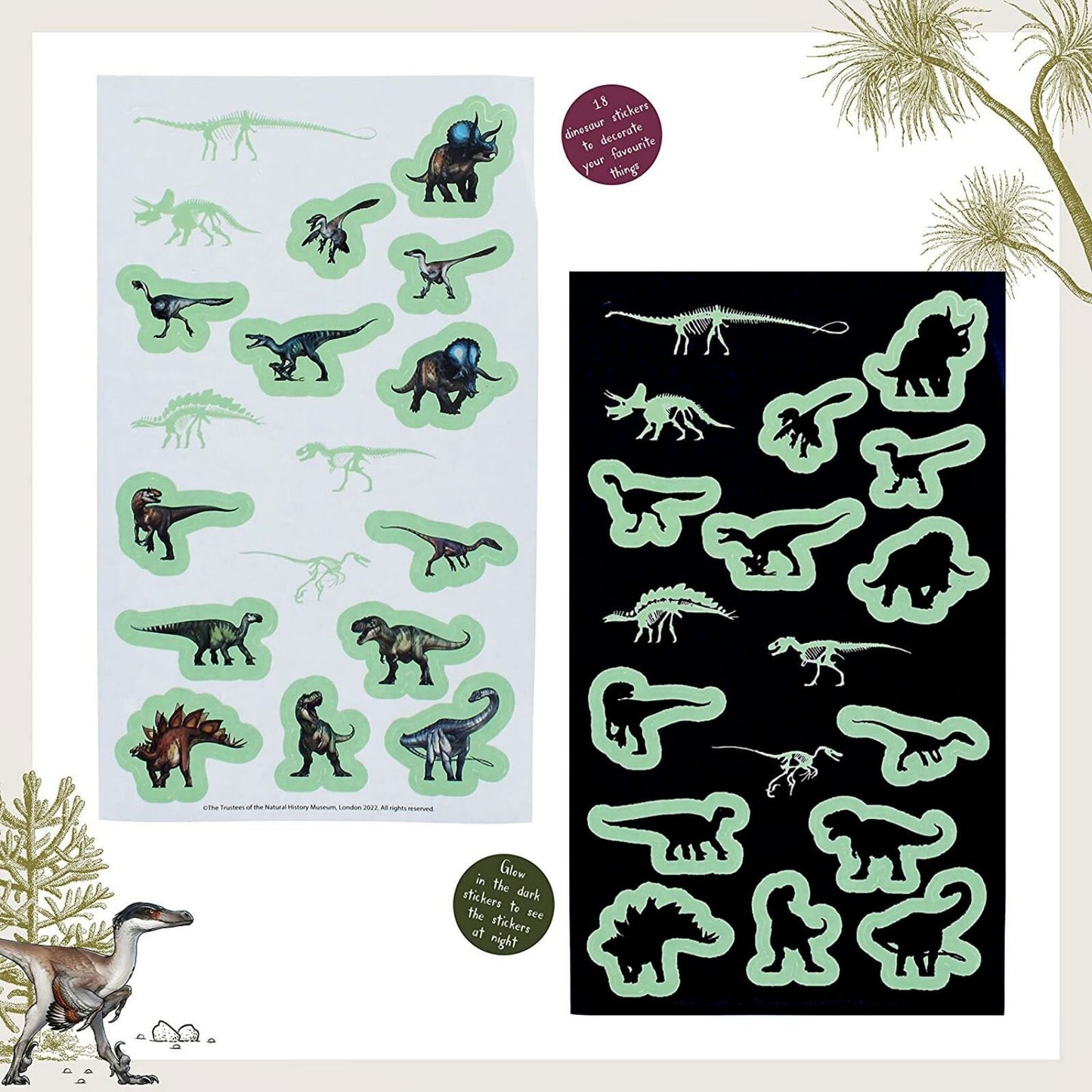 National History Museum Glow in the Dark Stickers