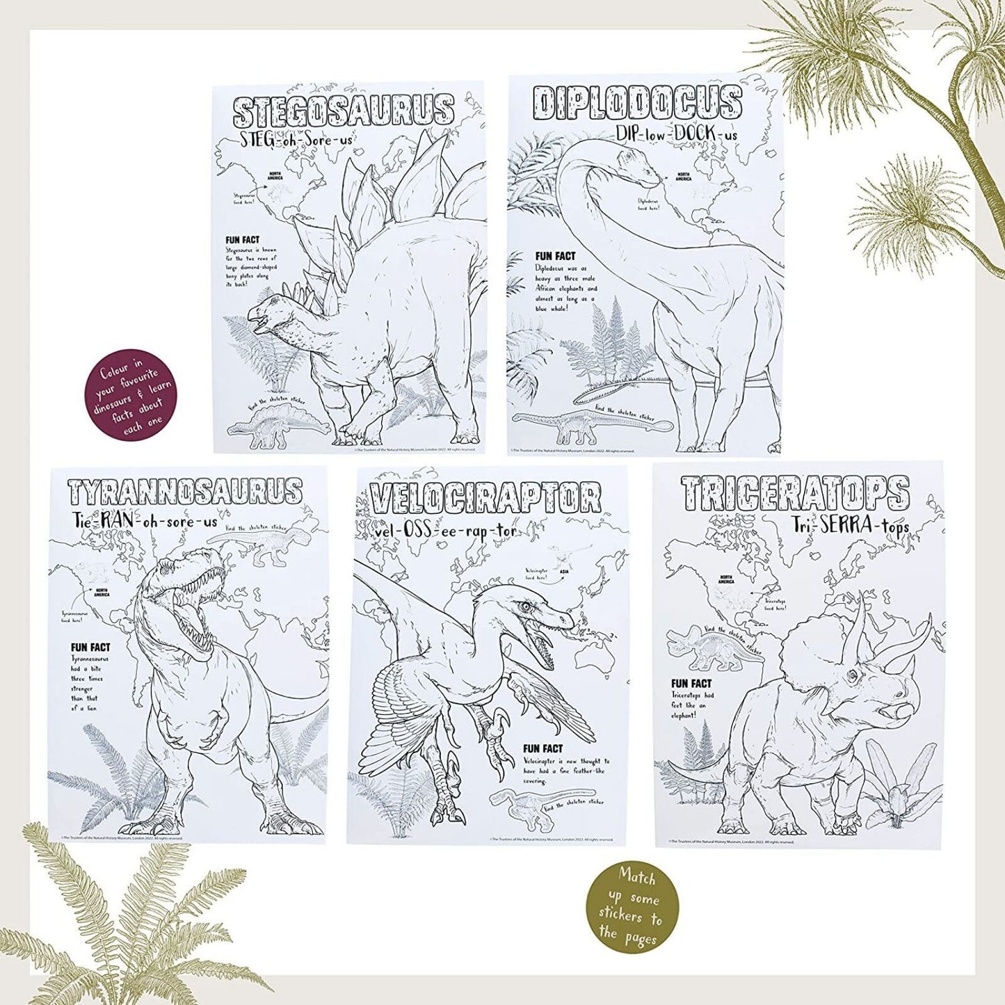 National History Museum Colouring Pad